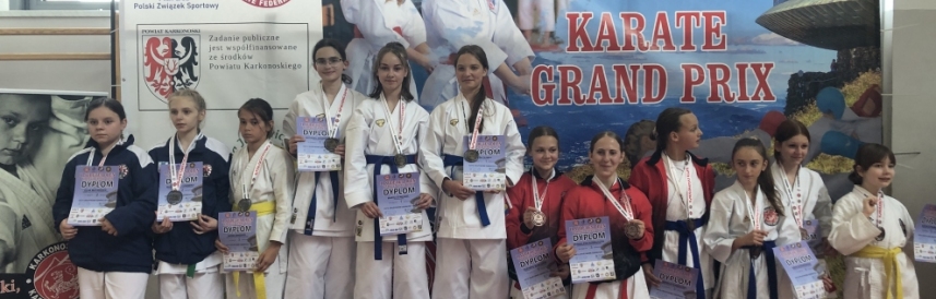 Sukcesy karateków