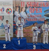 Sukcesy karateków