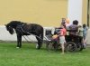 Zdjęcie: EKO Festyn na Świętej Górze