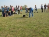 Zdjęcie: DZIEŃ ZWIERZĄT W SZKOLE W BODZEWIE
