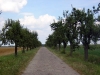Zdjęcie: Szelejewo