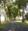 Zdjęcie: Bodzewo